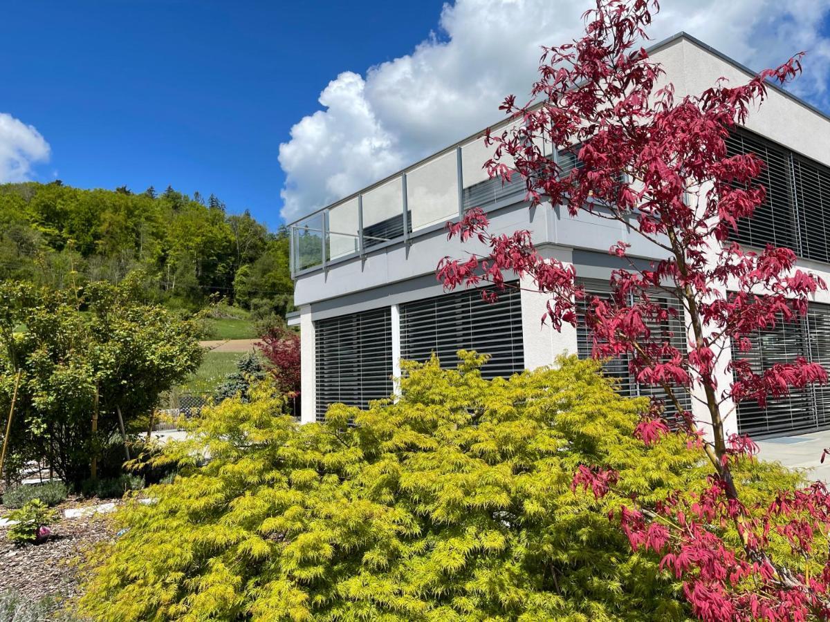 Belair Beinwil - B&B Exteriör bild
